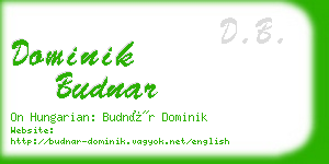 dominik budnar business card